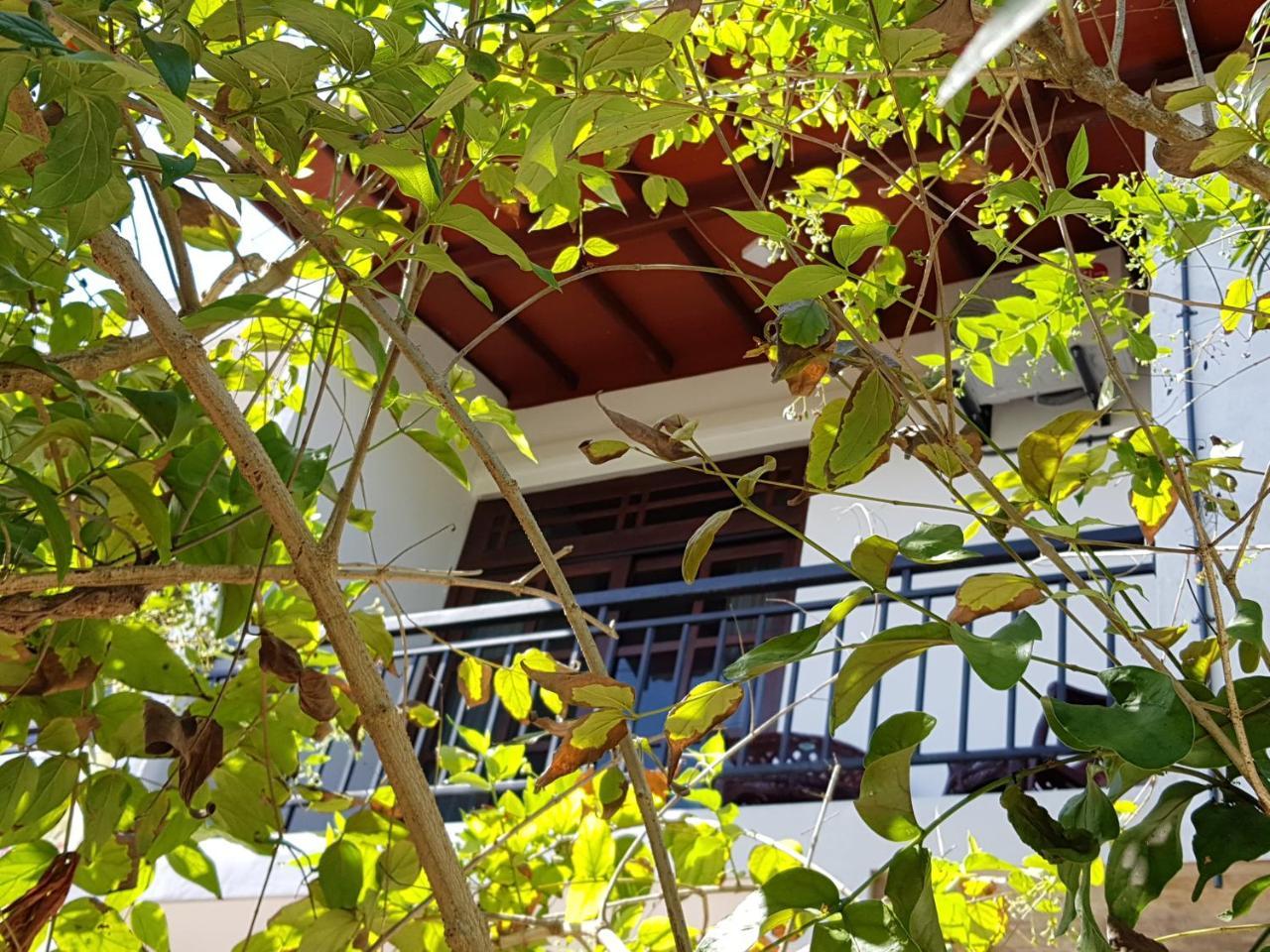 My Whales Guest House Banduramulla المظهر الخارجي الصورة