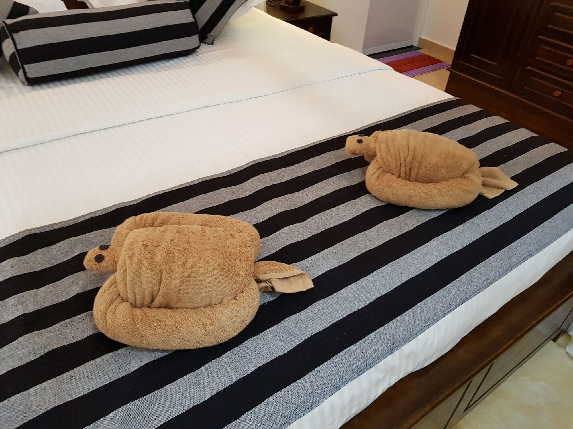 My Whales Guest House Banduramulla المظهر الخارجي الصورة